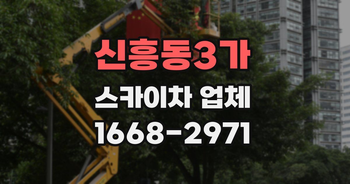 신흥동3가 스카이차 업체
