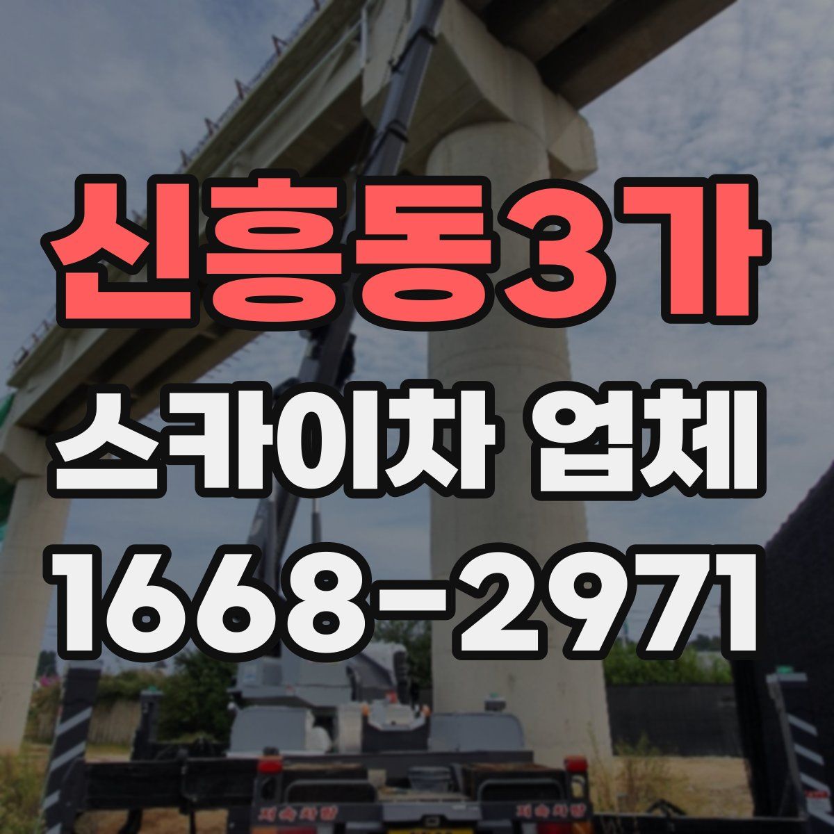 신흥동3가 스카이차 업체