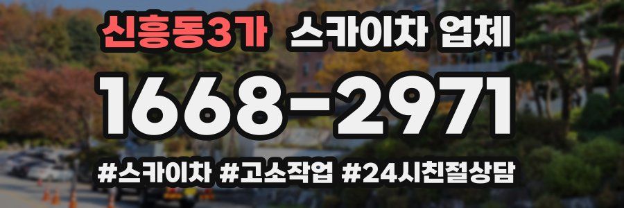신흥동3가 스카이차 업체