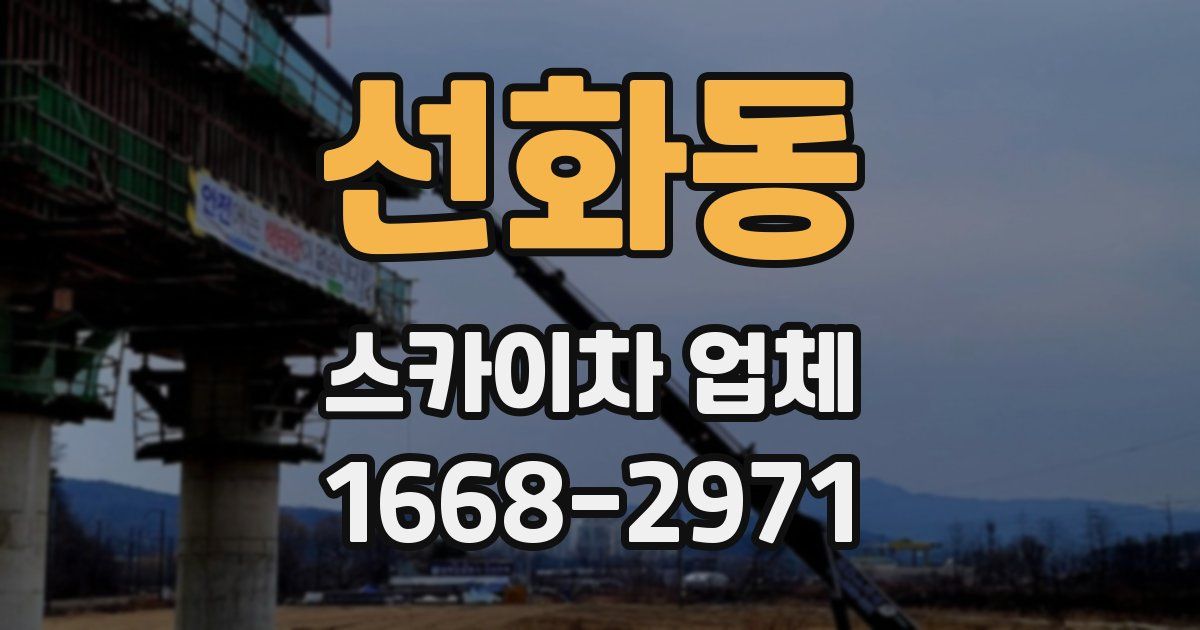선화동 스카이차 업체