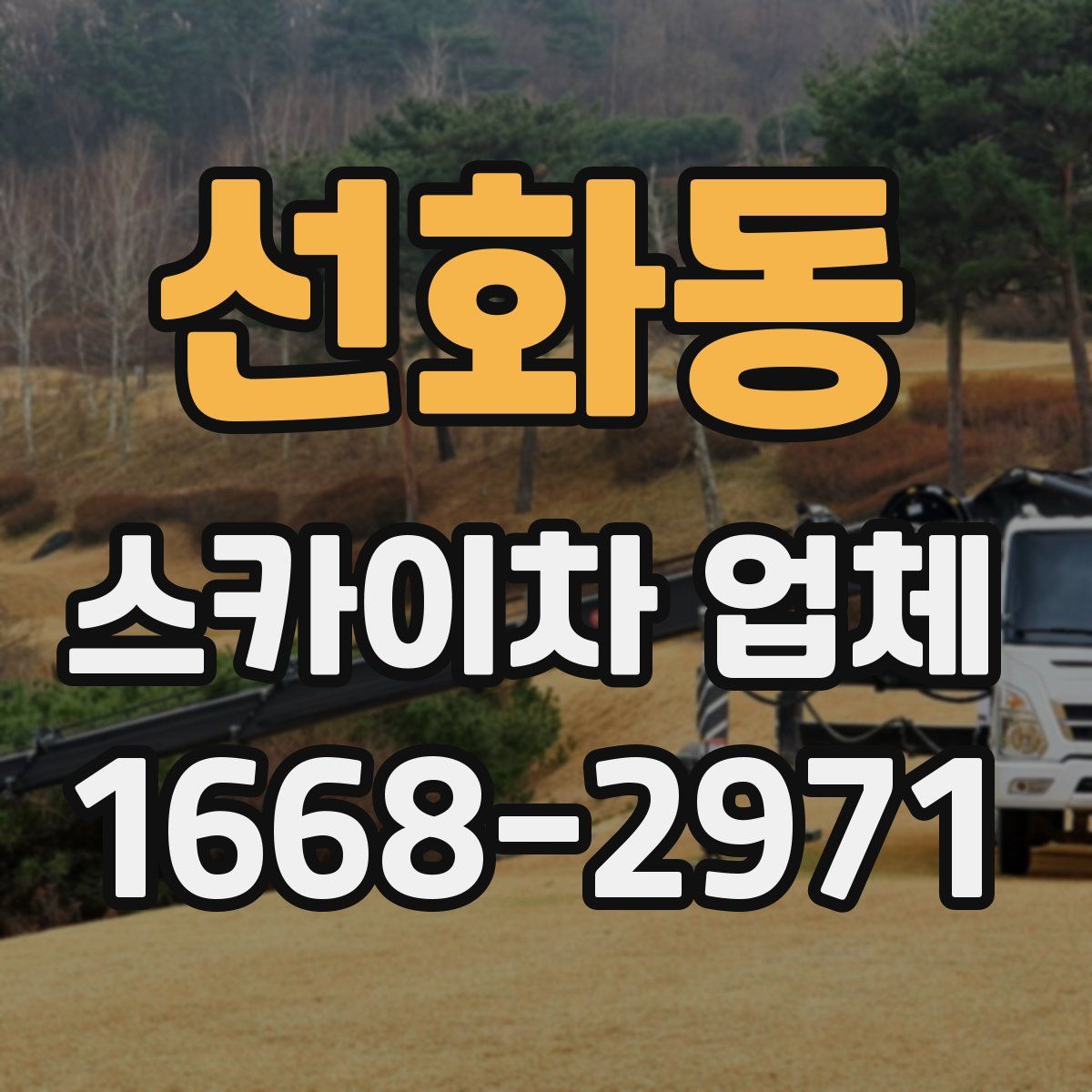 선화동 스카이차 업체