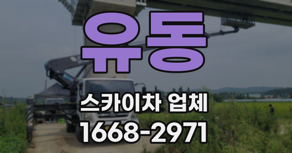 유동 스카이차 업체