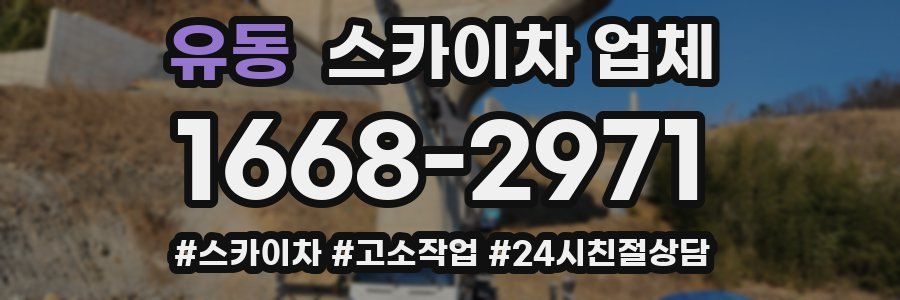 유동 스카이차 업체