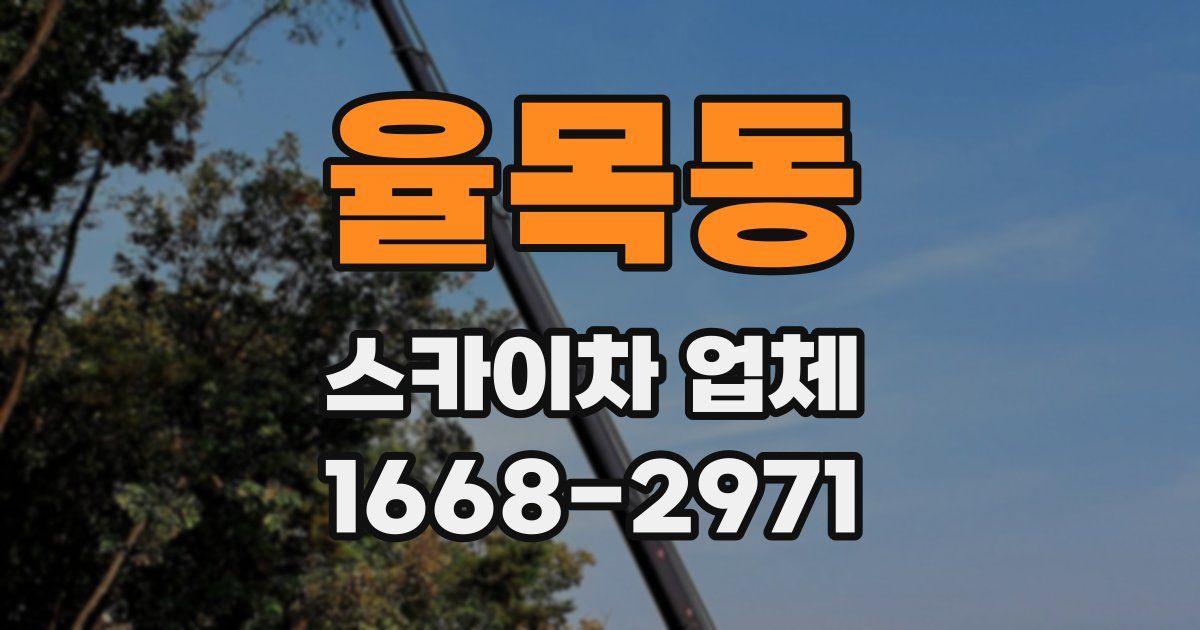 율목동 스카이차 업체