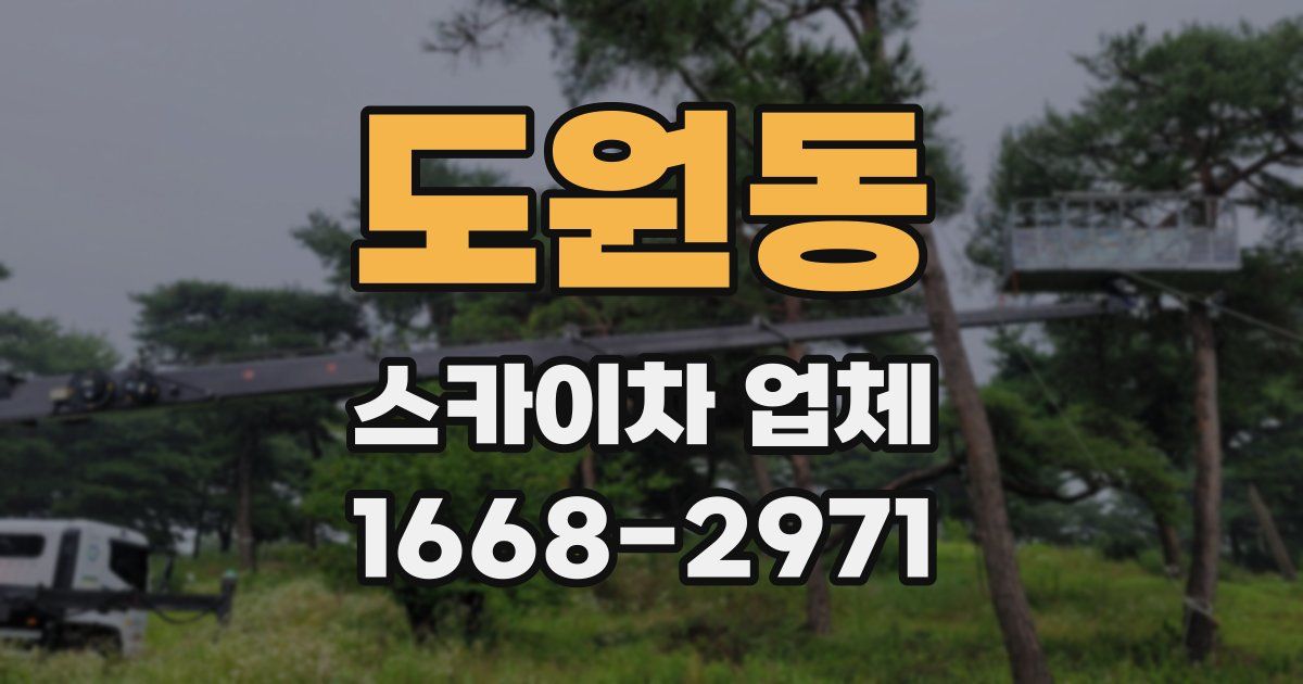 도원동 스카이차 업체