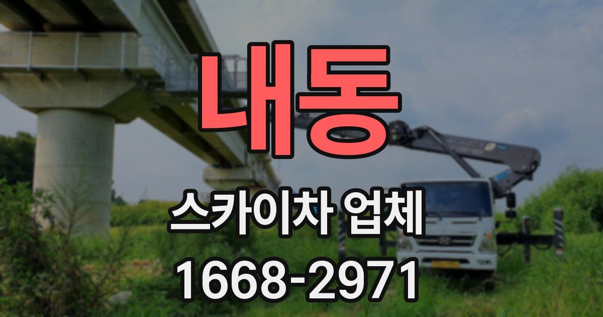 내동 스카이차 업체