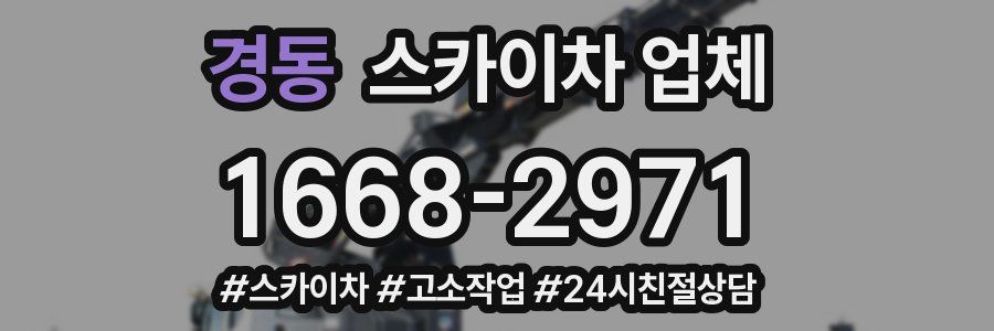 경동 스카이차 업체