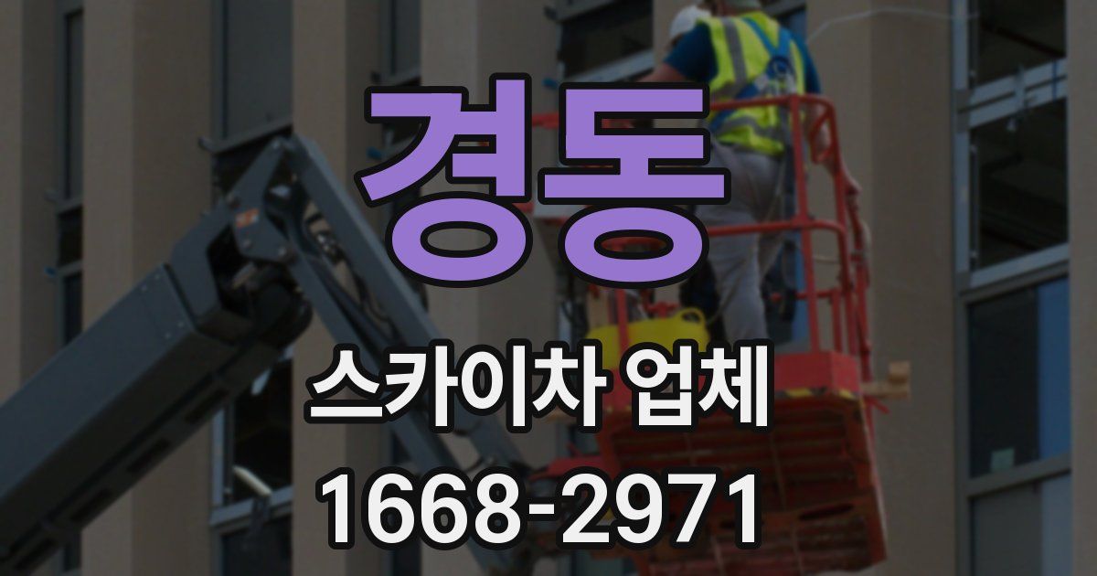 경동 스카이차 업체