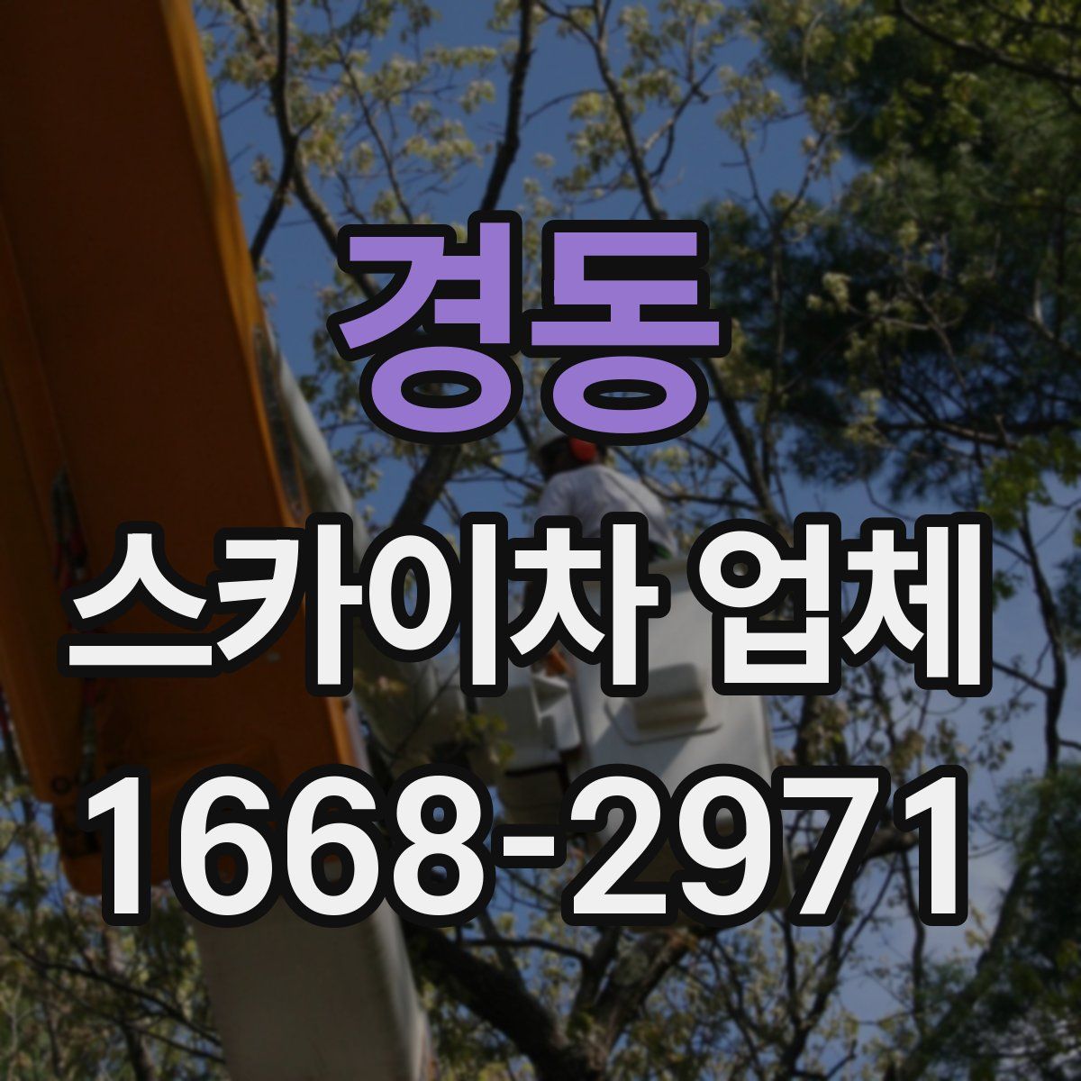 경동 스카이차 업체