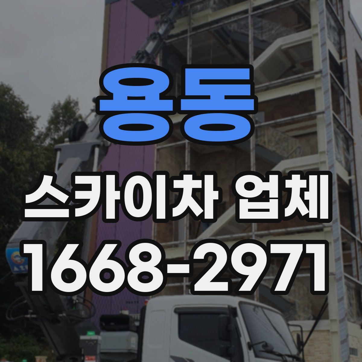 용동 스카이차 업체