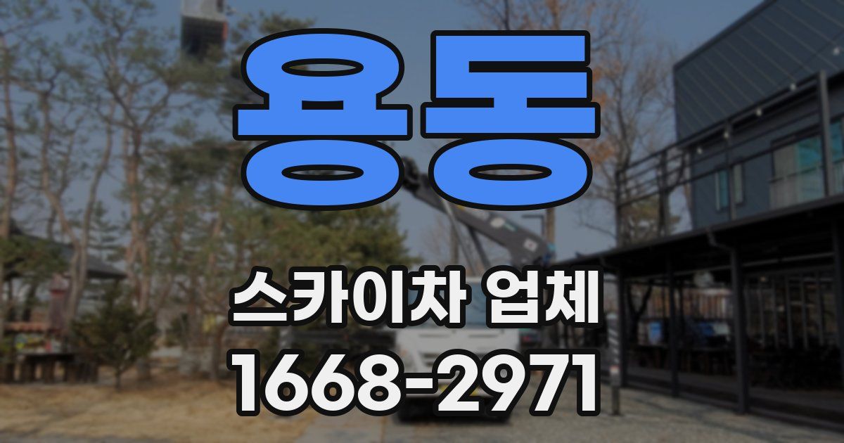 용동 스카이차 업체