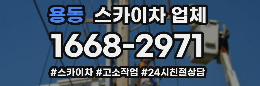 용동 스카이차 업체
