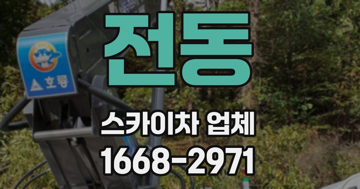 전동 스카이차 업체