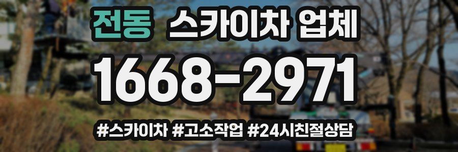 전동 스카이차 업체