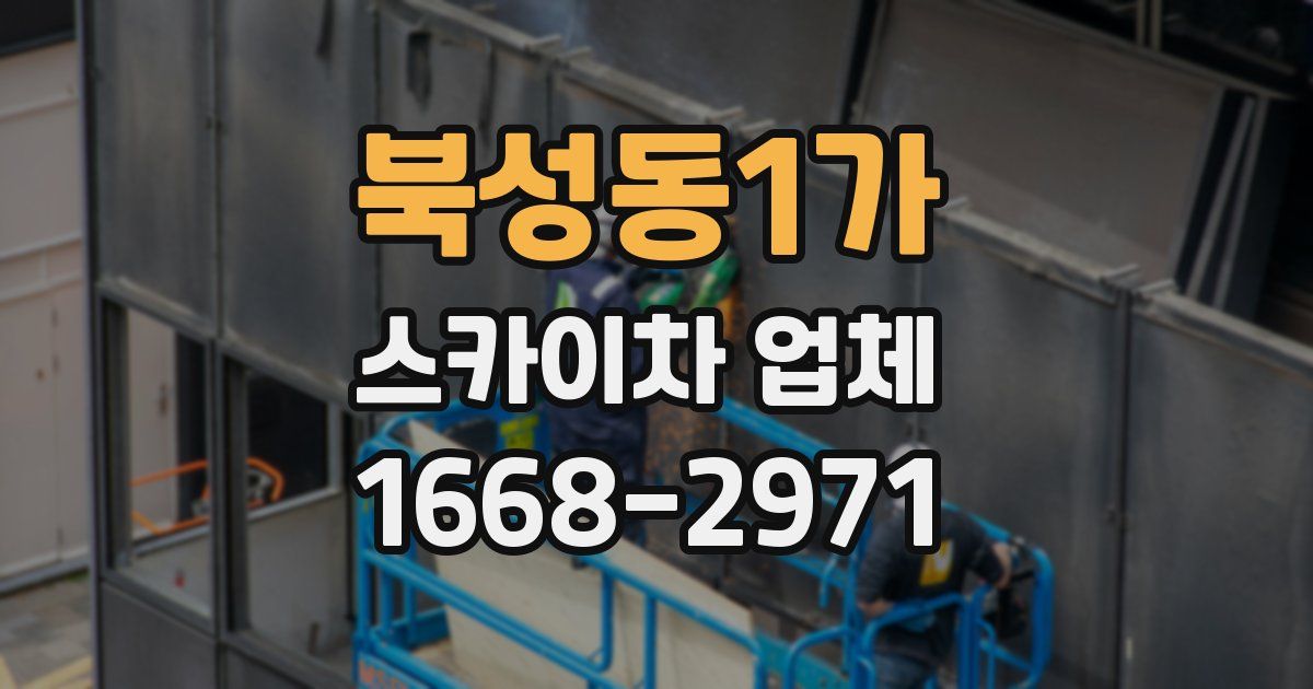 북성동1가 스카이차 업체