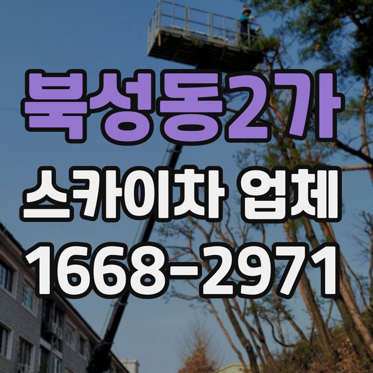 북성동2가 스카이차 업체