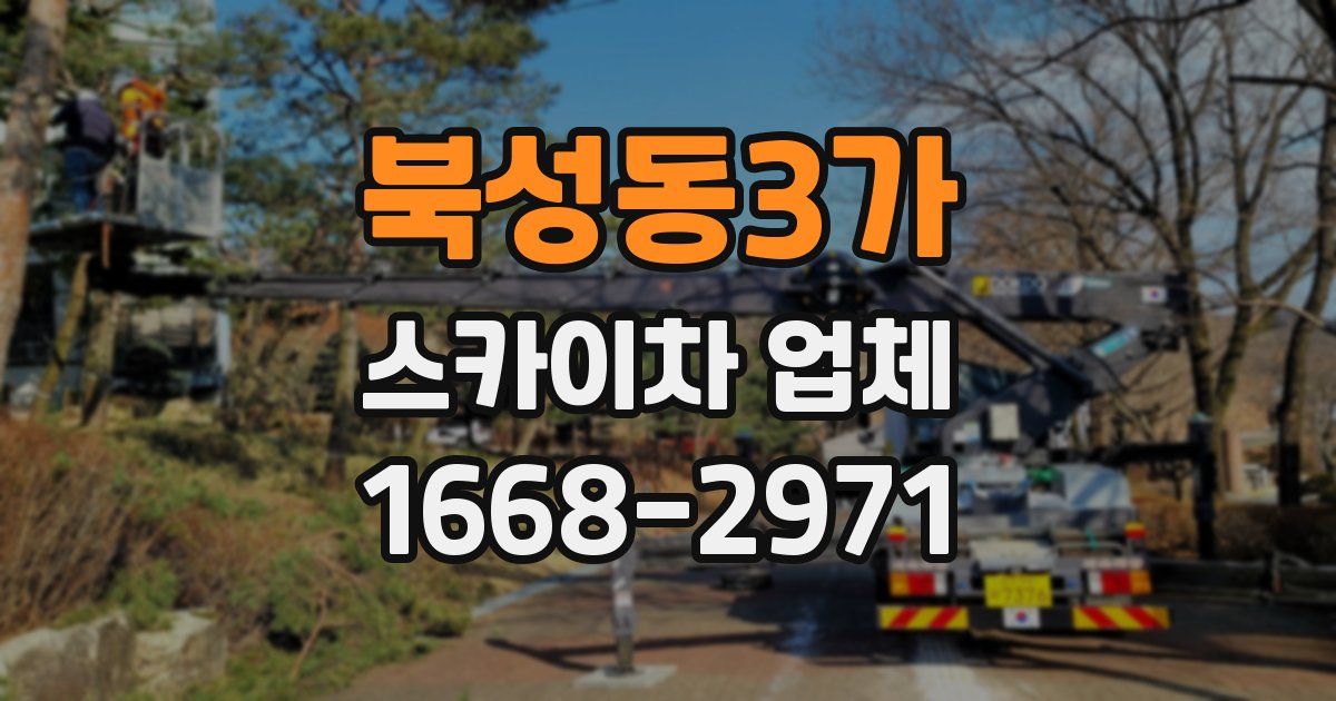북성동3가 스카이차 업체