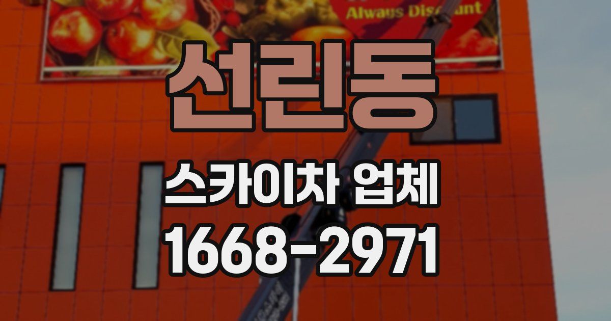 선린동 스카이차 업체
