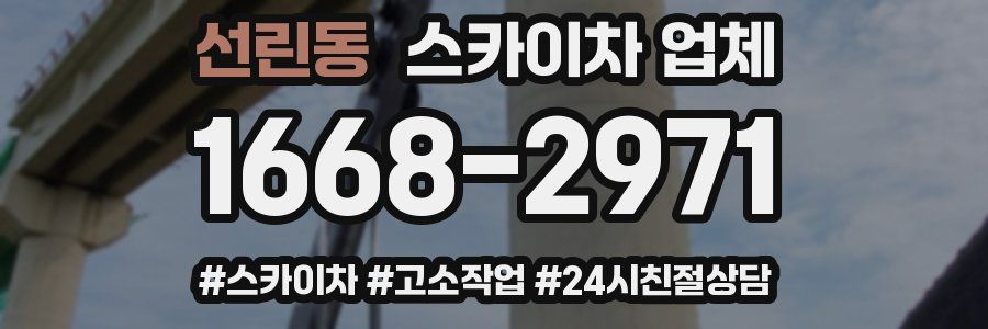 선린동 스카이차 업체