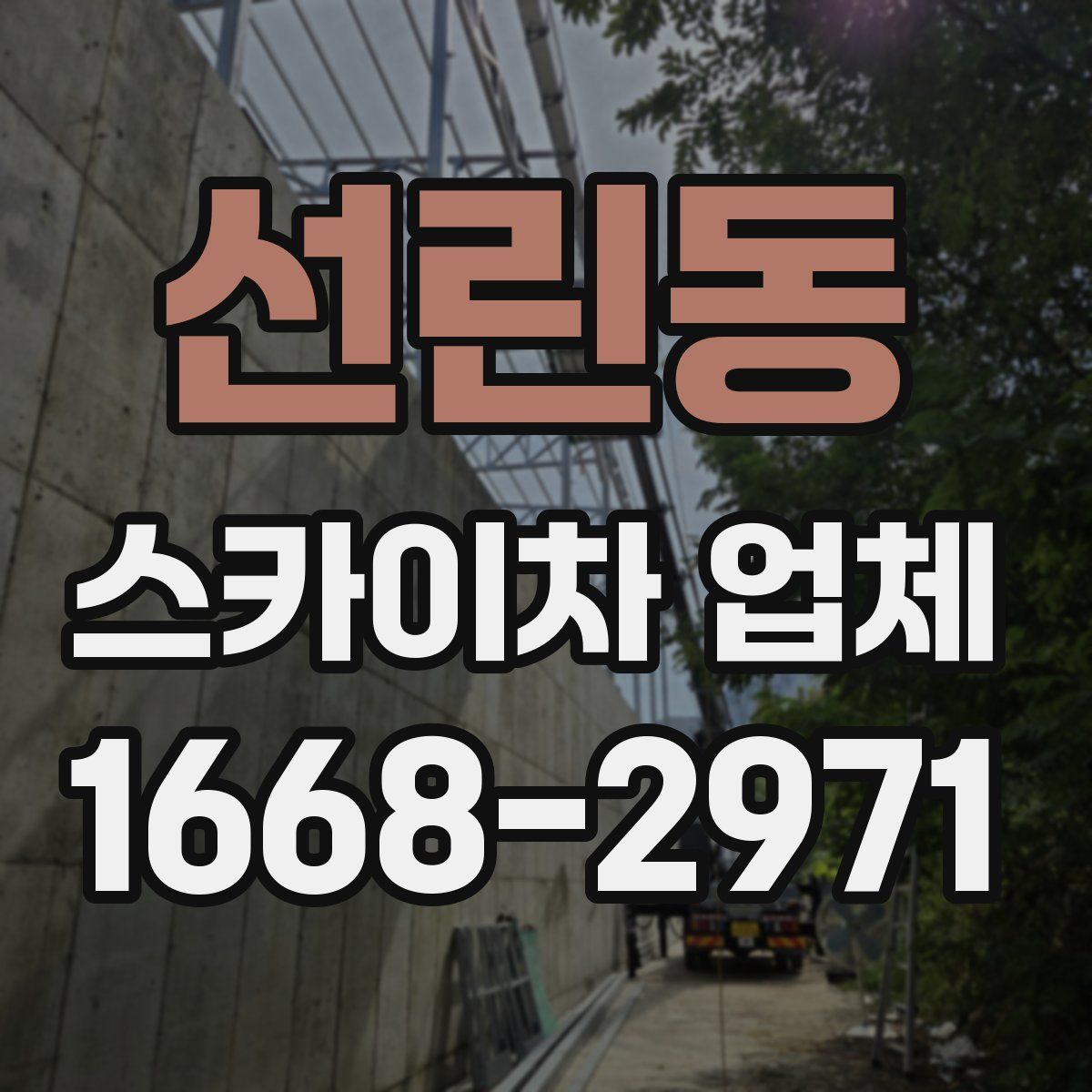 선린동 스카이차 업체