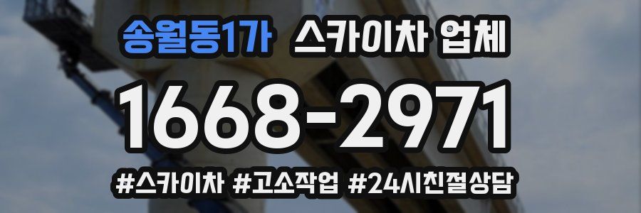 송월동1가 스카이차 업체