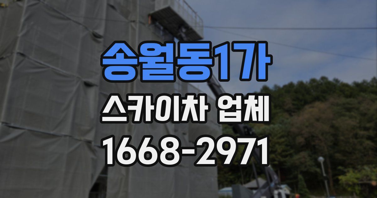 송월동1가 스카이차 업체