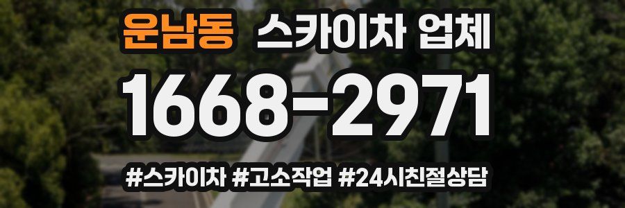 운남동 스카이차 업체