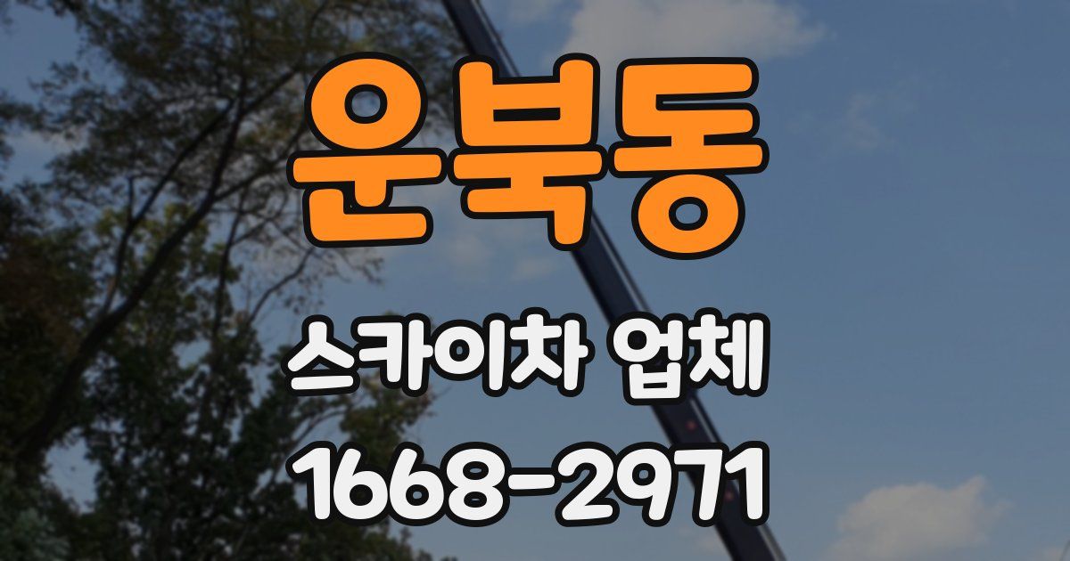 운북동 스카이차 업체