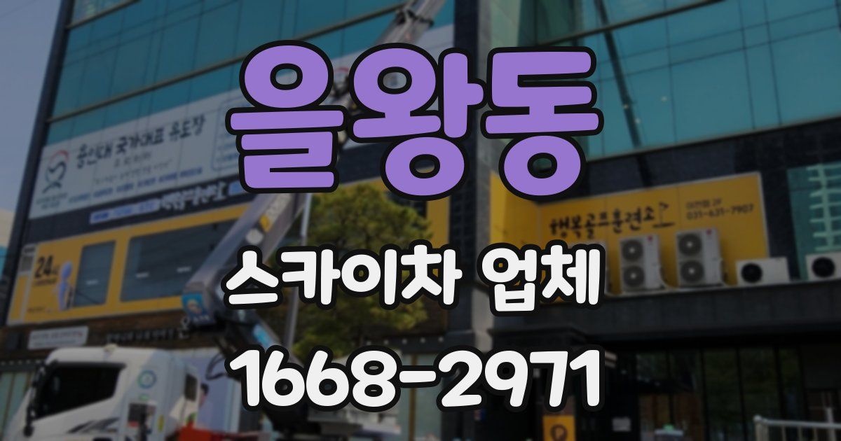 을왕동 스카이차 업체