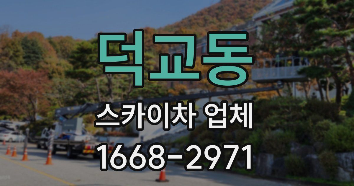 덕교동 스카이차 업체
