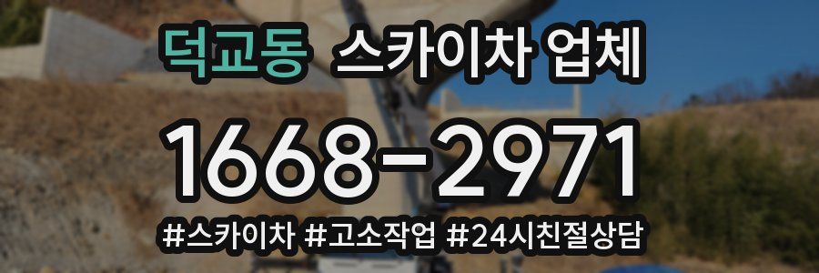 덕교동 스카이차 업체