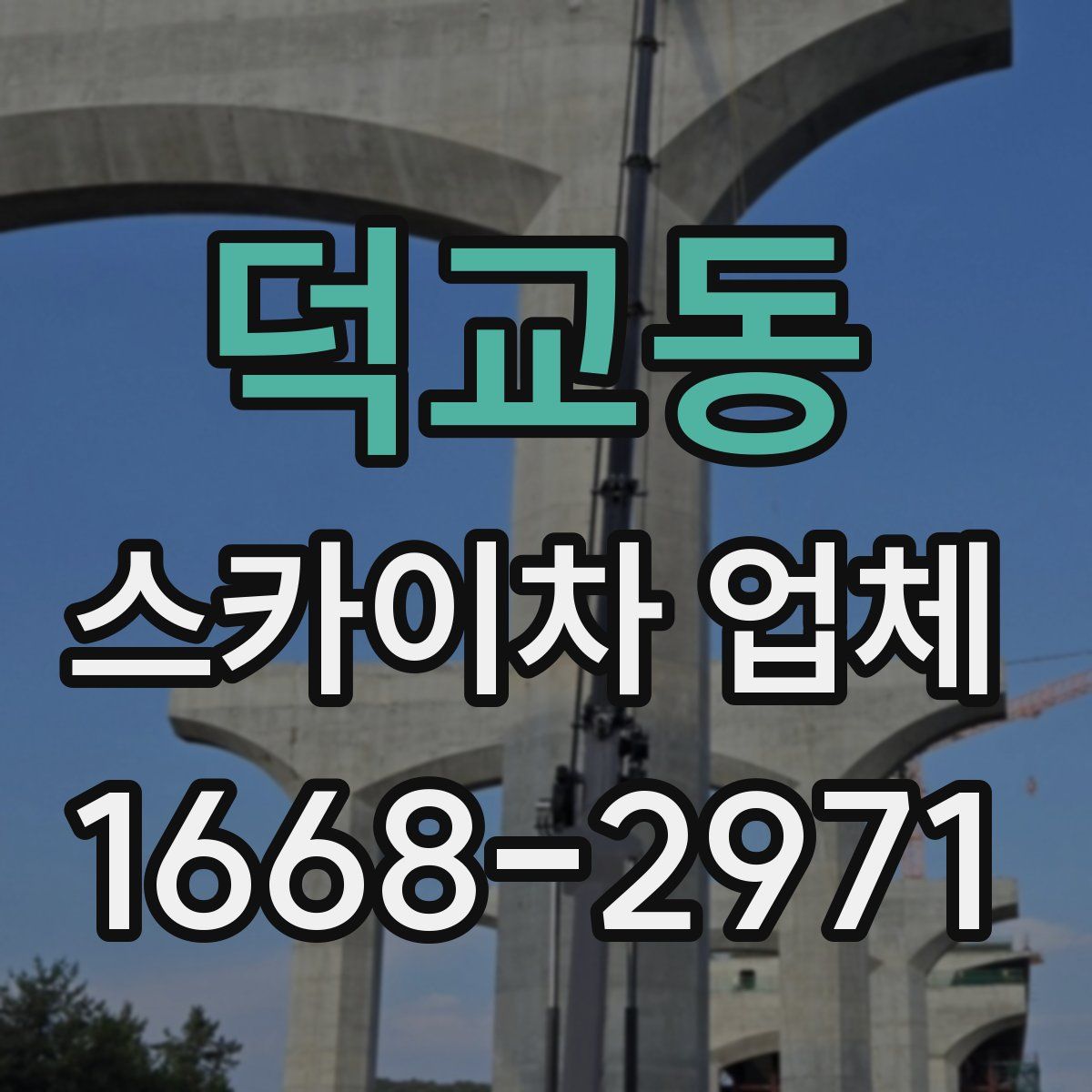 덕교동 스카이차 업체