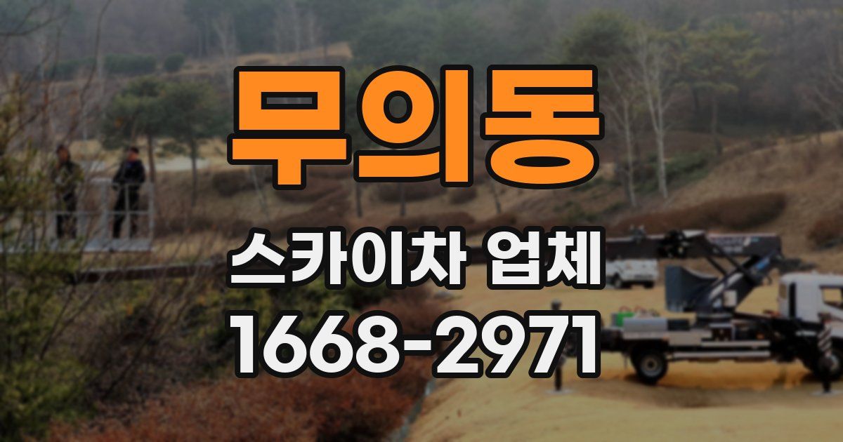 무의동 스카이차 업체