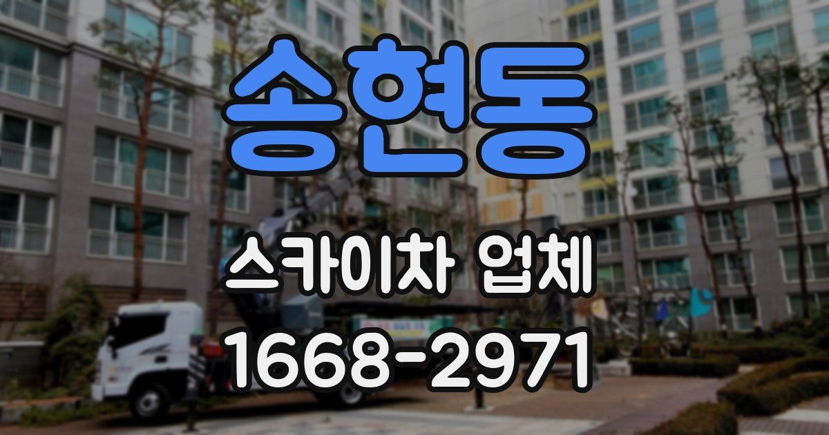 송현동 스카이차 업체