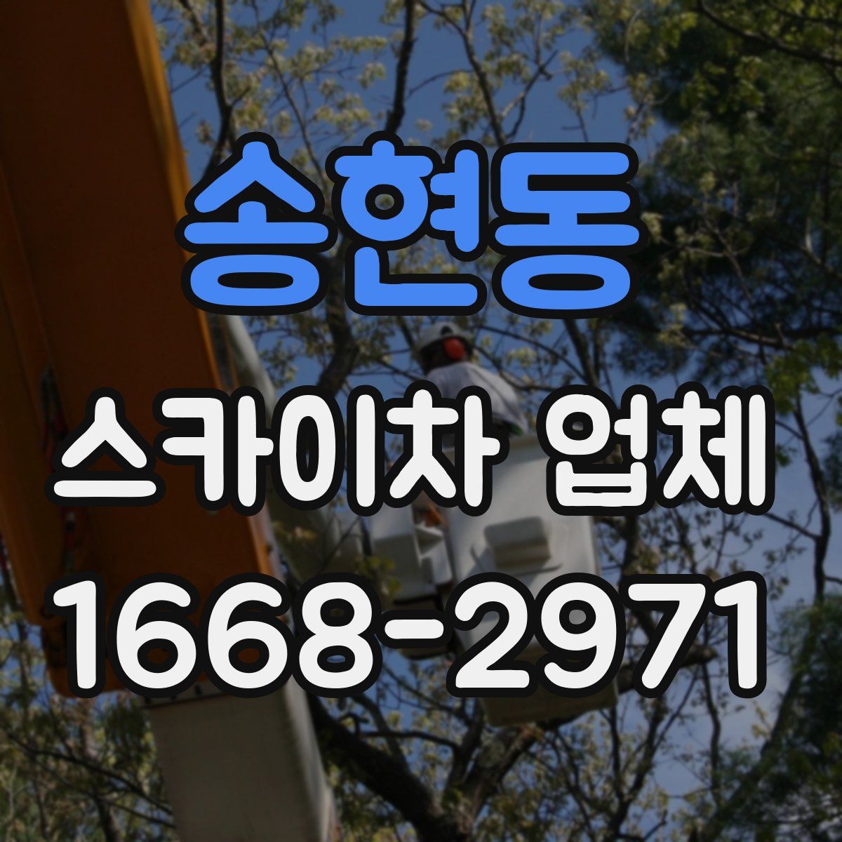 송현동 스카이차 업체