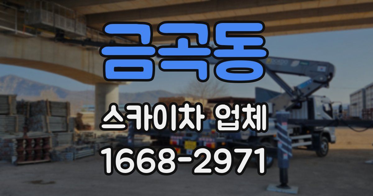 금곡동 스카이차 업체