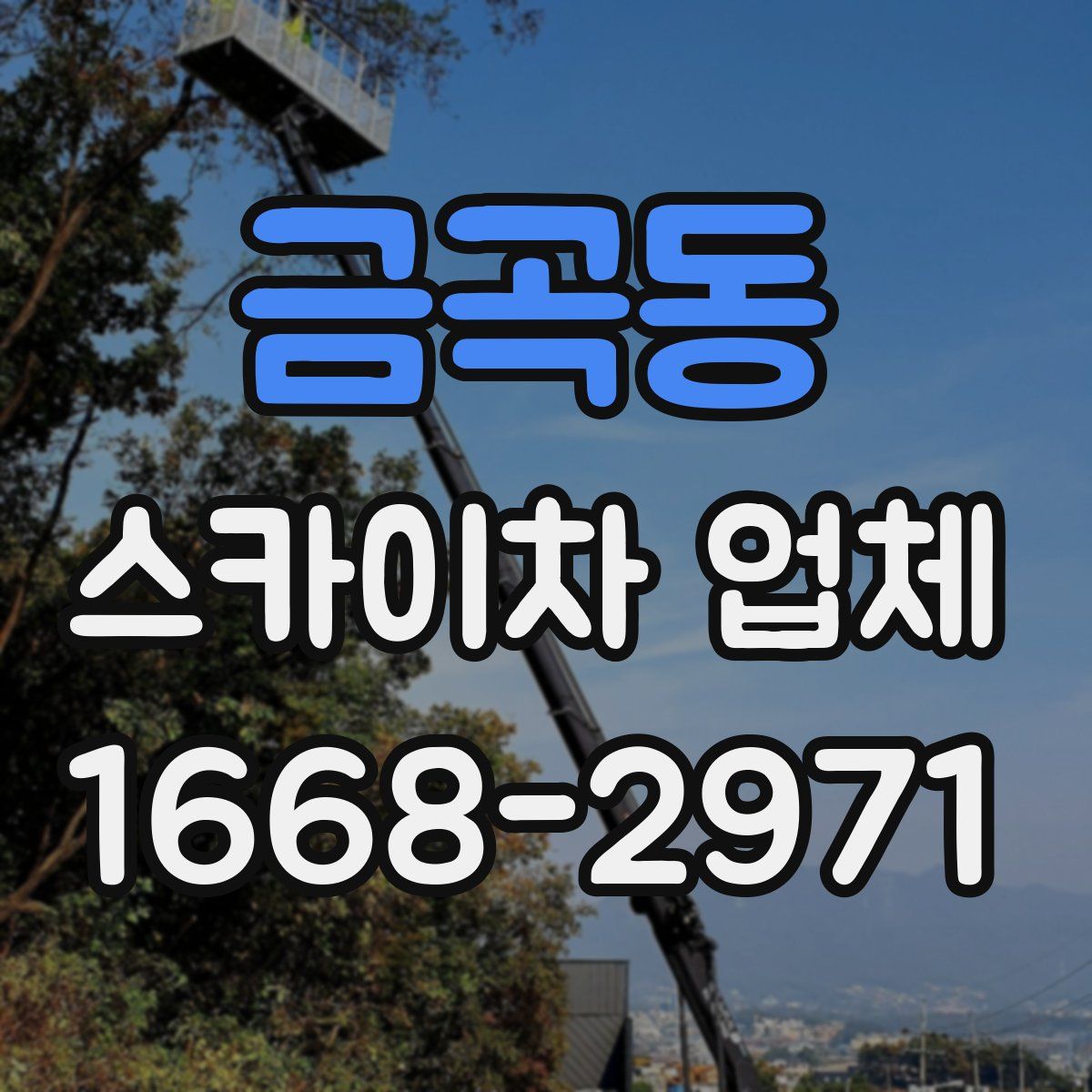 금곡동 스카이차 업체
