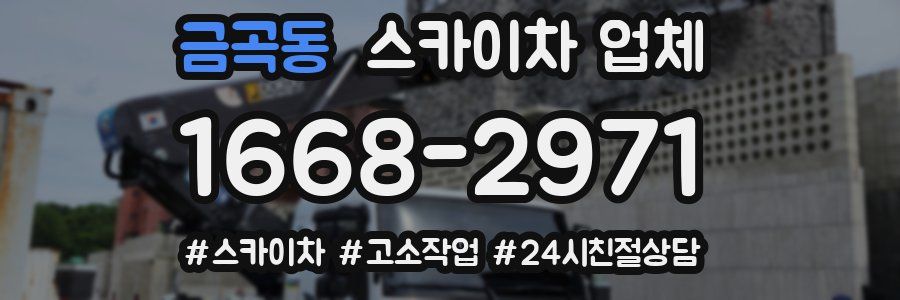 금곡동 스카이차 업체