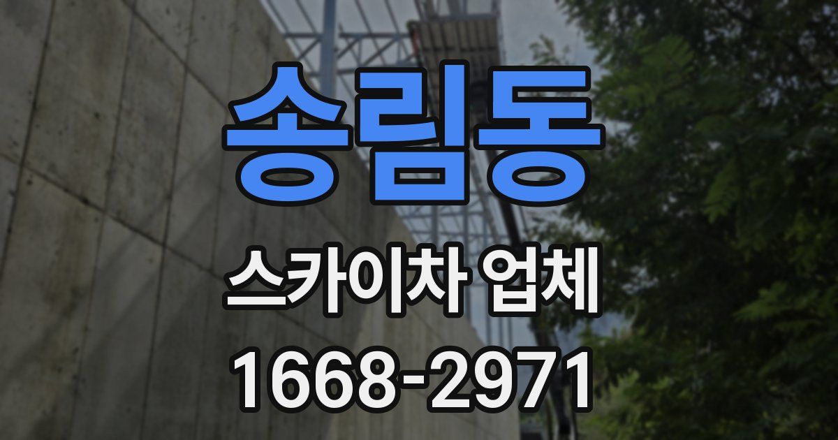 송림동 스카이차 업체
