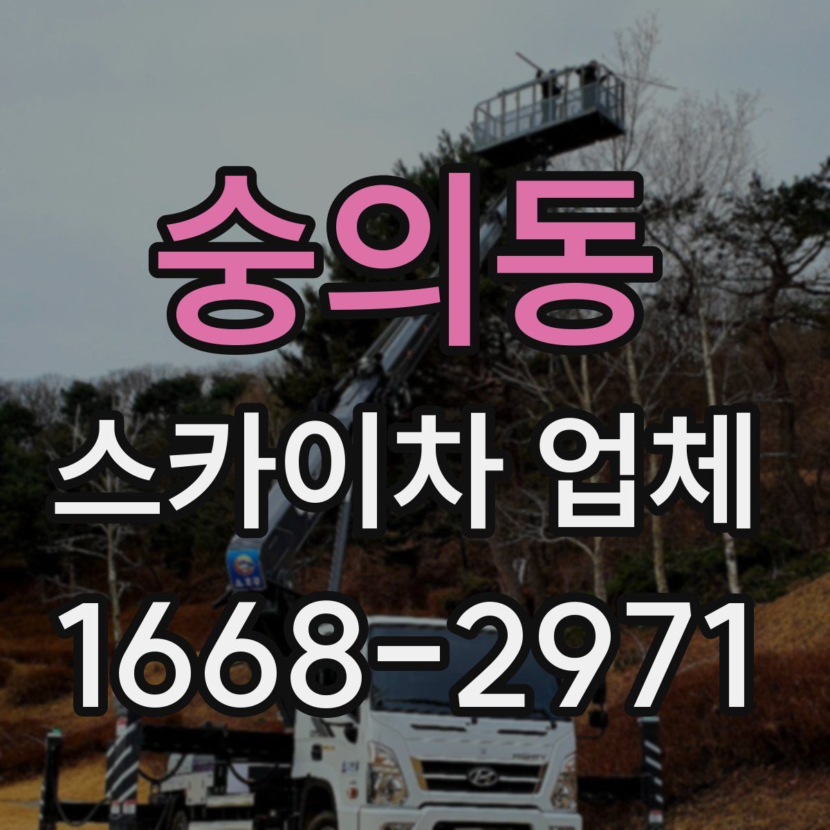 숭의동 스카이차 업체