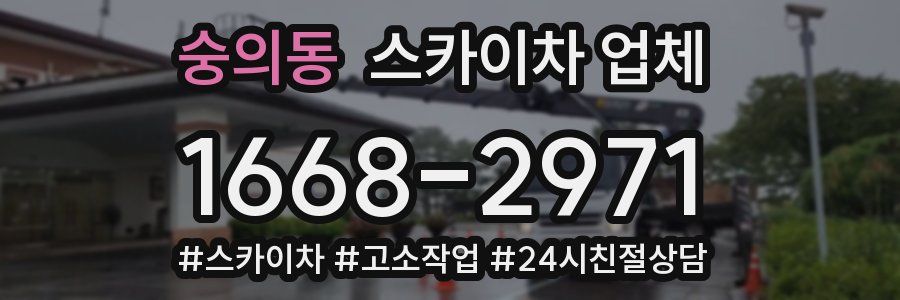 숭의동 스카이차 업체