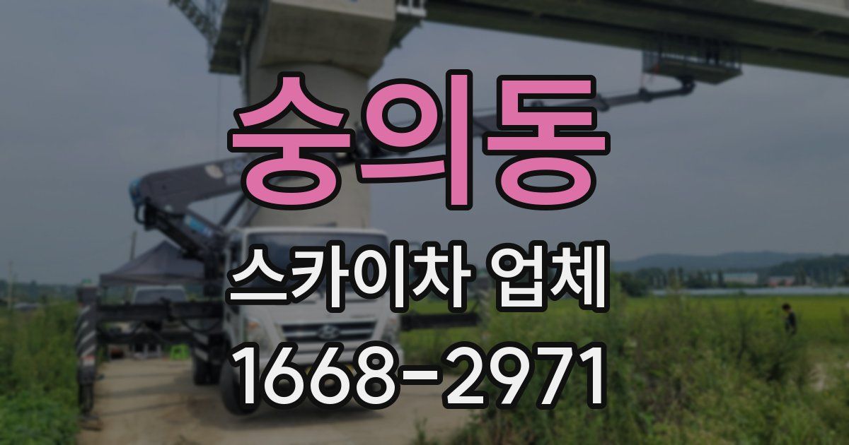 숭의동 스카이차 업체