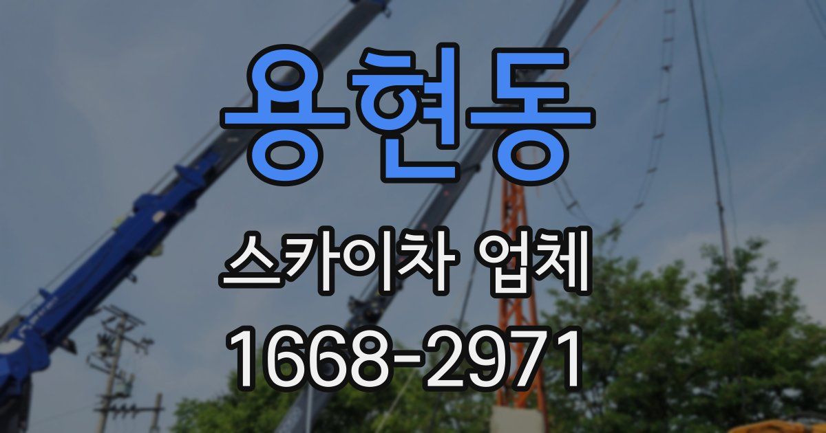 용현동 스카이차 업체