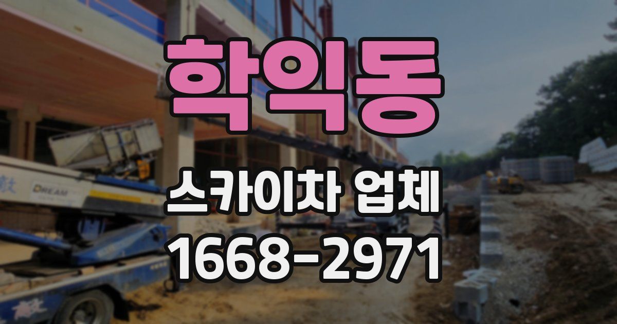 학익동 스카이차 업체
