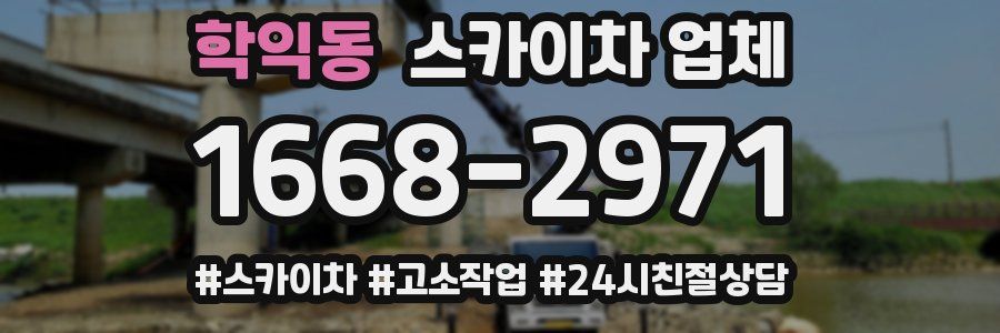 학익동 스카이차 업체