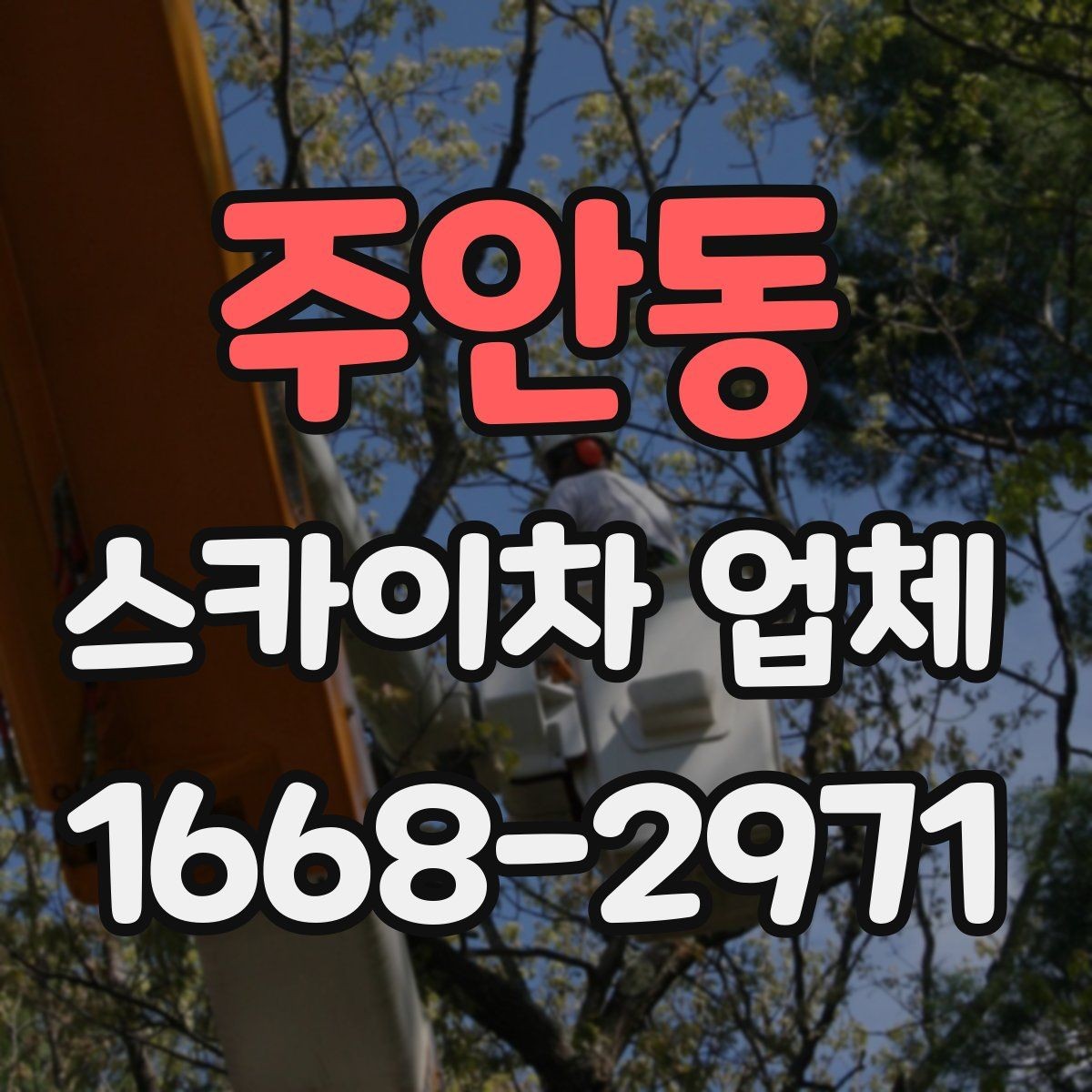 주안동 스카이차 업체 선택 시 사전 상담에서 확인할 내용