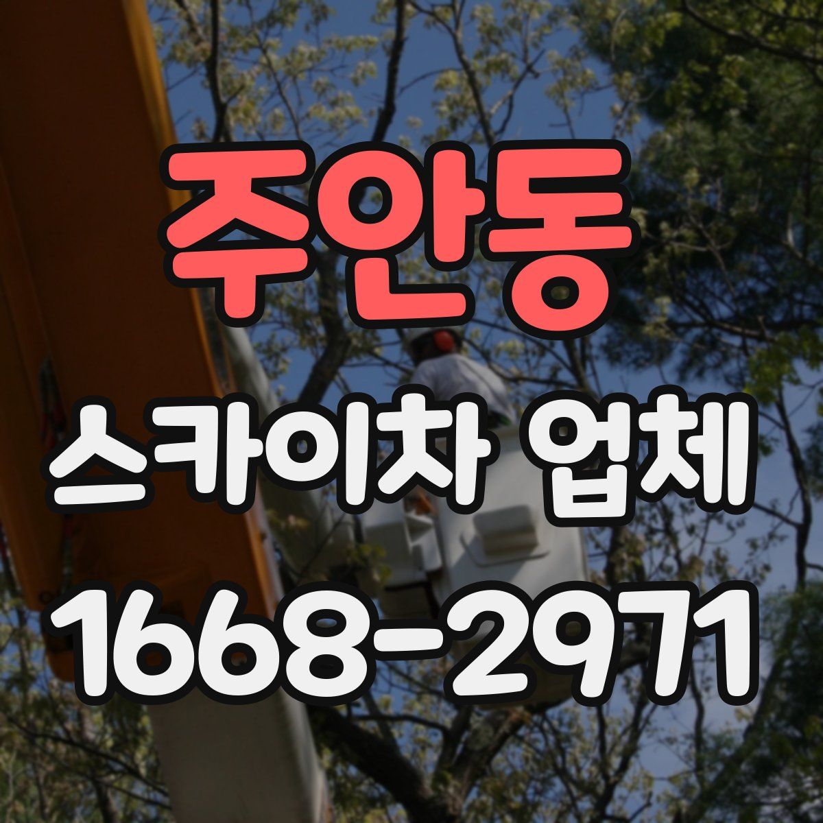 주안동 스카이차 업체