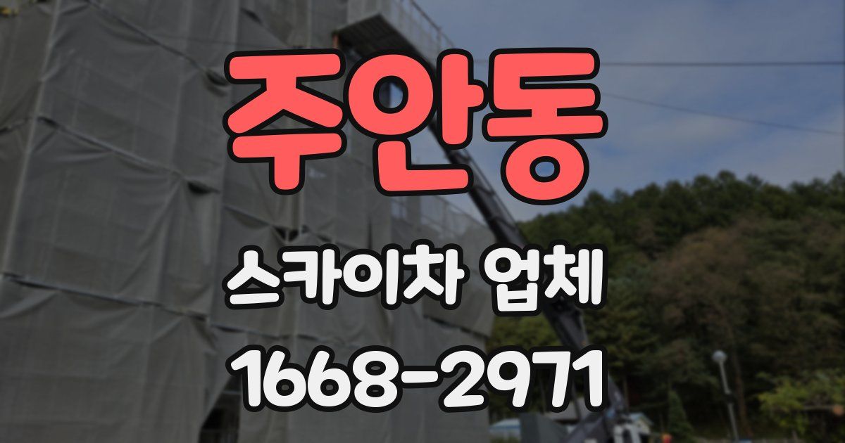 주안동 스카이차 업체