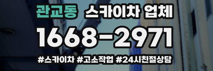 관교동 스카이차 업체
