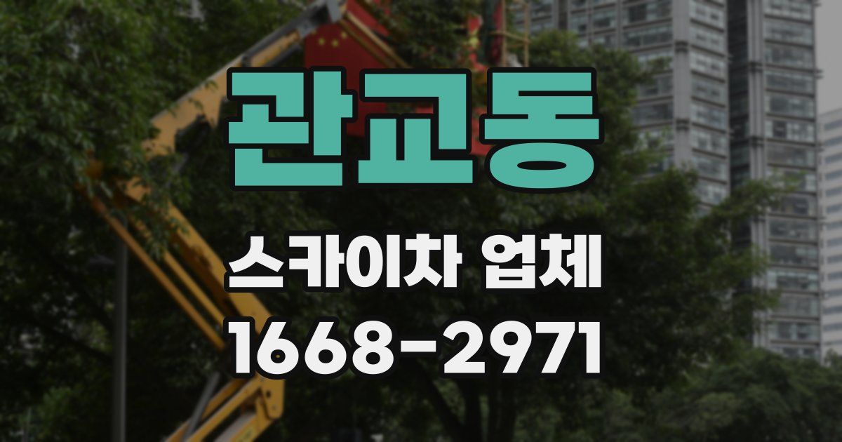 관교동 스카이차 업체